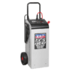 650/100A 12/24V Electronic Starter/Charger/Maintainer